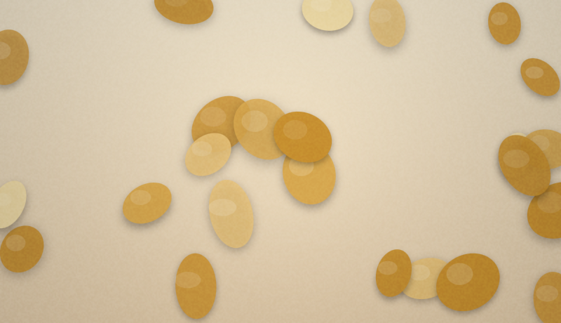 Roasted Cashews